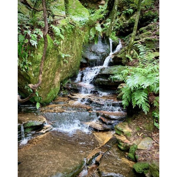 Blue Mountains Stream Thumbnail